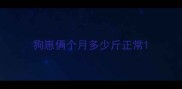 狗崽俩个月多少斤正常