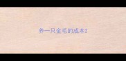 养一只金毛的成本
