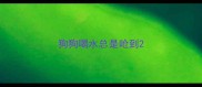 狗狗喝水总是呛到