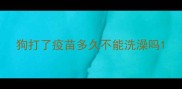 狗打了疫苗多久不能洗澡吗