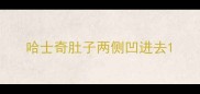 哈士奇肚子两侧凹进去