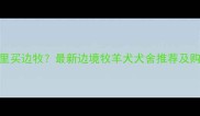 兰州哪里买边牧最新边境牧羊犬犬舍推荐及购买指南