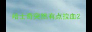 哈士奇突然有点拉血