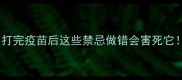 幼犬疫苗后护理全攻略打完疫苗后这些禁忌做错会害死它附黄金24小时护理指南