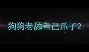 狗狗老舔自己爪子