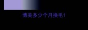 博美多少个月换毛