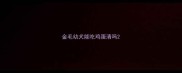 金毛幼犬能吃鸡蛋清吗