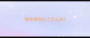 猫咪喂药吐了怎么办