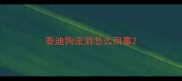 泰迪狗流泪怎么回事