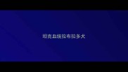 坦克血统拉布拉多犬