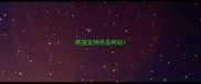 韩国宠物用品网站