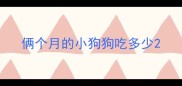俩个月的小狗狗吃多少