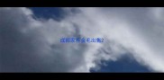 成都家养金毛出售
