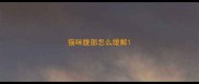 猫咪腹部怎么缓解