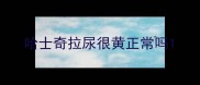 哈士奇拉尿很黄正常吗