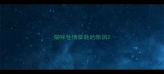 猫咪性情暴躁的原因