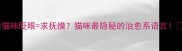 猫咪眨眼求抚摸猫咪最隐秘的治愈系语言