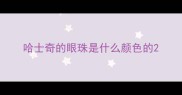 哈士奇的眼珠是什么颜色的