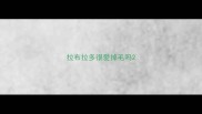 拉布拉多很爱掉毛吗
