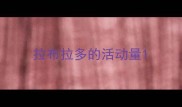 拉布拉多的活动量