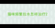 猫咪频繁拉水怎样治疗