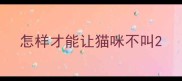 怎样才能让猫咪不叫