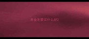 养金毛要买什么好