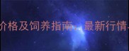 宠物小猴子价格及饲养指南最新行情与购买建议