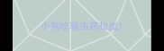 小狗吃驱虫药拉血