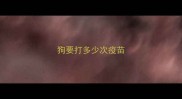 狗要打多少次疫苗