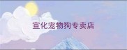 宣化宠物狗专卖店