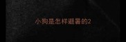 小狗是怎样避暑的
