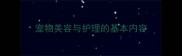 宠物美容与护理的基本内容