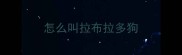 怎么叫拉布拉多狗