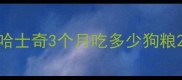 哈士奇3个月吃多少狗粮