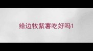 给边牧紫薯吃好吗