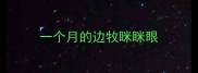 一个月的边牧眯眯眼