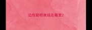 边牧聪明表现在哪里