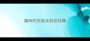 猫咪吃完驱虫药后拉稀