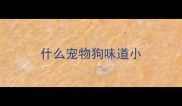 什么宠物狗味道小