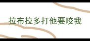 拉布拉多打他要咬我