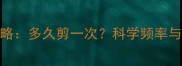 狗狗指甲修剪全攻略多久剪一次科学频率与正确手法大公开