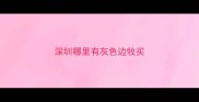 深圳哪里有灰色边牧买