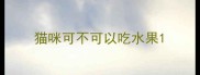 猫咪可不可以吃水果