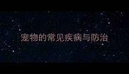 宠物的常见疾病与防治