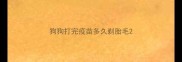 狗狗打完疫苗多久剃胎毛