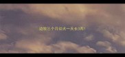 边牧三个月幼犬一天长3两