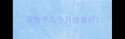 母兔子几个月绝育好
