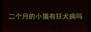 二个月的小猫有狂犬病吗