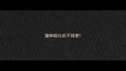 猫咪呕吐后不排便
